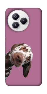 Чехол на Xiaomi Civi 5 Pro А что тут фото 1 из 1