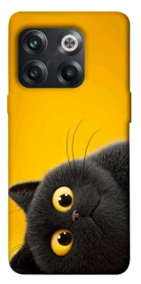 Чехол на OnePlus 10T This is Cat фото 1 из 1
