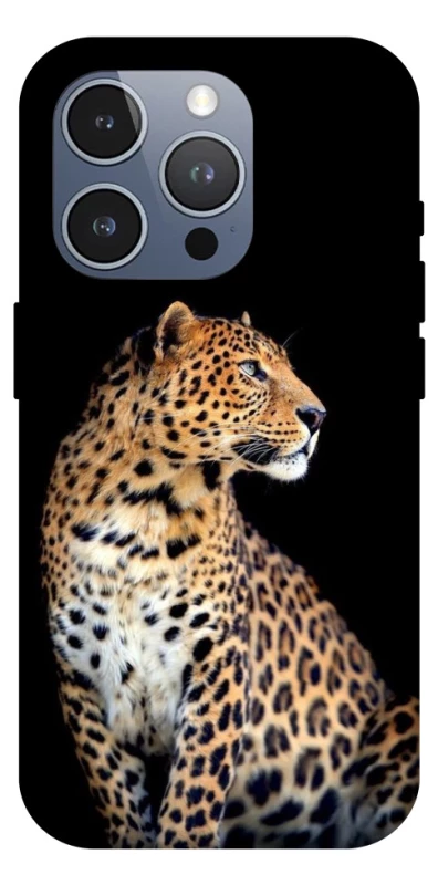 Чохол на Apple iPhone 16 Pro Max Leopard v2 фото 1 з 1