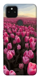 Чехол на Google Pixel 5A Spring Awakening фото 1 из 1