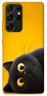 Чохол на Samsung Galaxy S21 Ultra This is Cat фото 1 з 1