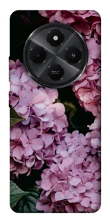 Чохол на Xiaomi Poco M7 Рожеві гартензії фото 1 з 1