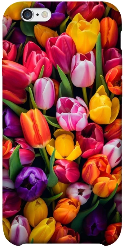 Чохол на Apple iPhone 6/6s plus (5.5") Flowers v30 фото 1 з 1