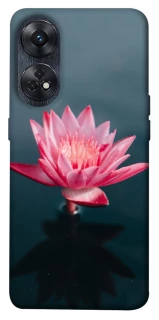 Чохол на Oppo Reno 8T 4G Лотос фото 1 з 1