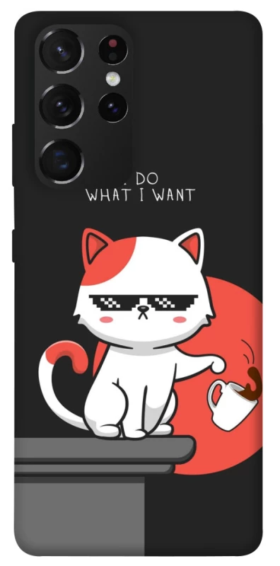 Чохол на Samsung Galaxy S21 Ultra I do what i wont фото 1 з 1