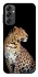 Чохол на Samsung Galaxy A14 4G/5G Leopard v2 фото 1 з 1