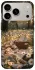 Чохол на Apple iPhone 18 Pro Flowers v14 фото 2 з 2