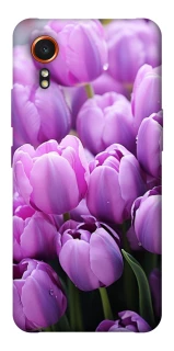 Чехол на Samsung Galaxy Xcover7 Фиолетовые тюльпаны фото 1 из 1