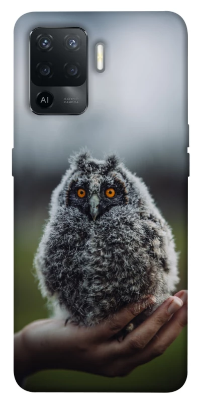 Чохол на Oppo Reno 5 Lite Совеня фото 1 з 1