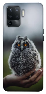 Чохол на Oppo Reno 5 Lite Совеня фото 1 з 1