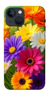 Чехол на Apple iPhone 13 mini (5.4") Flowers v32 фото 1 из 1