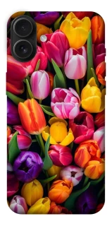 Чехол на Apple iPhone 16 Plus Flowers v30 фото 1 из 1