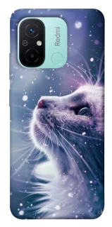 Чехол на Xiaomi Redmi 12C / Poco C55 Snow cat фото 1 из 1