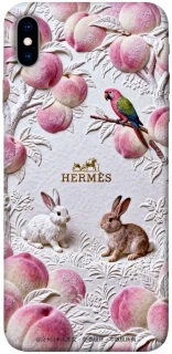Чехол на Apple iPhone XS Max (6.5") Hermes фото 1 из 1