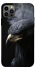 Чехол на Apple iPhone 12 Pro (6.1") black eagle фото 1 из 1