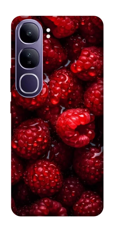 Чехол на Vivo Y300 Малинка фото 1 из 1