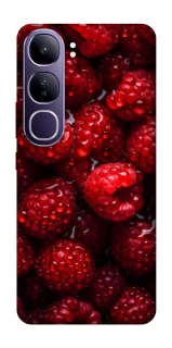 Чехол на Vivo Y300 Малинка фото 1 из 1