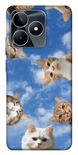 Чехол на Realme C53 Сats фото 1 из 1