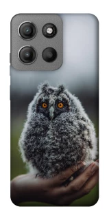 Чехол на Motorola Moto G15 Power Совёнок фото 1 из 1