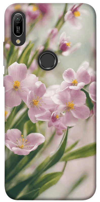 Чохол на Huawei Y6 (2019) Spring фото 1 з 1