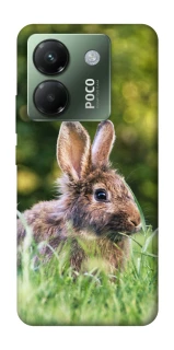 Чехол на Xiaomi Poco M7 pro 5G Кролики фото 1 из 1