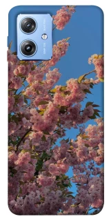 Чехол на Motorola Moto G84 Flowers v4 фото 1 из 1