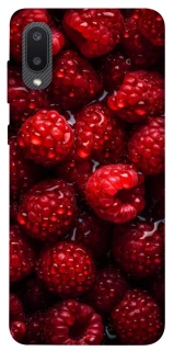 Чехол на Samsung Galaxy A02 Малинка фото 1 из 1