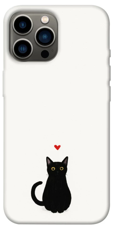 Чехол на Apple iPhone 12 Pro Max (6.7") cat in love фото 1 из 1