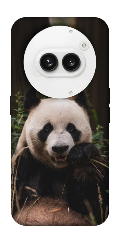 Чехол на Nothing Phone (2a) Панда фото 1 из 1