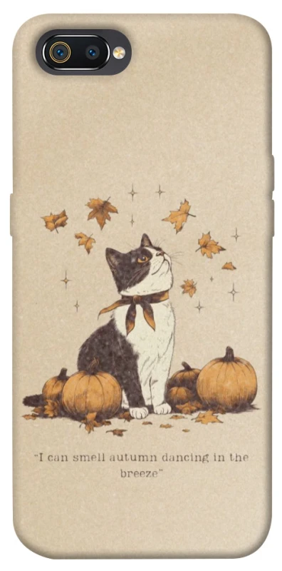 Чехол на Realme C2 Autumn vibes ver.3 фото 1 из 1