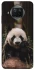 Чехол на Xiaomi Mi 10T Lite / Redmi Note 9 Pro 5G Панда фото 1 из 1