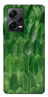 Чохол на Xiaomi Redmi Note 12 Pro 5G Листя фото 1 з 1