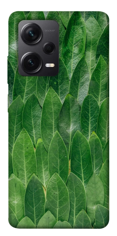 Чохол на Xiaomi Redmi Note 12 Pro+ 5G Листя фото 1 з 1