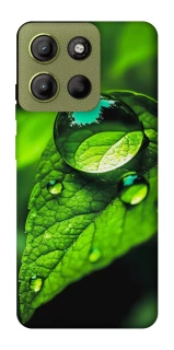 Чохол на Motorola Moto G15 4G Flowers v16 фото 1 з 1