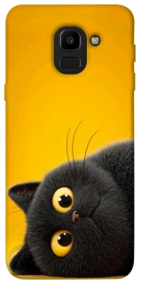 Чохол на Samsung J600F Galaxy J6 (2018) This is Cat фото 1 з 1