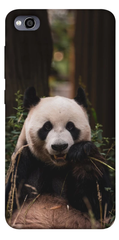 Чехол на Xiaomi Redmi 4a Панда фото 1 из 1