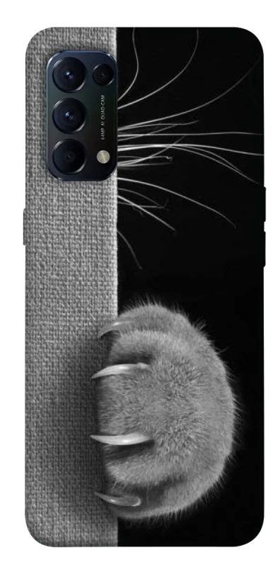 Чехол на Oppo Reno 5 4G Spy Cat фото 1 из 1