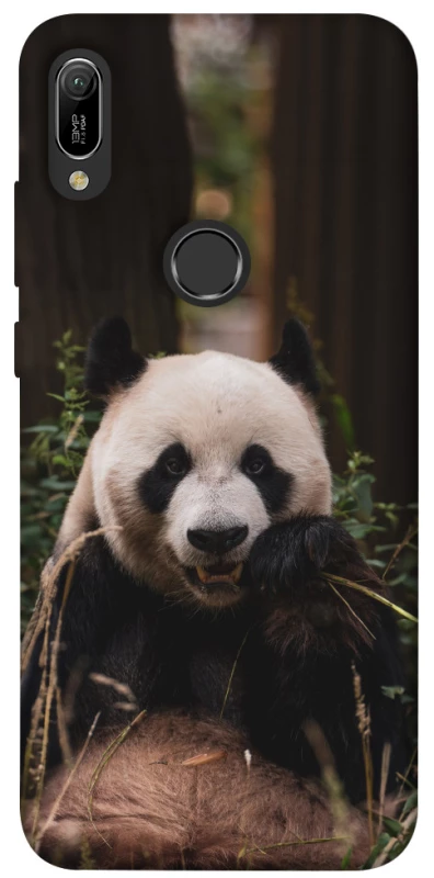 Чохол на Huawei Y6 (2019) Панда фото 1 з 1