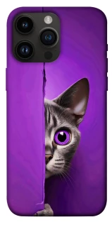 Чехол на Apple iPhone 14 Pro Max (6.7") Кот-подглядыватель фото 1 из 1