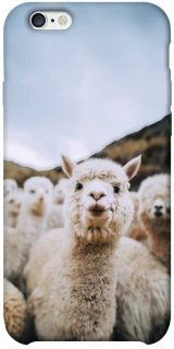 Чохол на Apple iPhone 6/6s plus (5.5") Лама фото 1 з 1