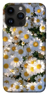 Чехол на Apple iPhone 14 Pro Max (6.7") Поле ромашек фото 1 из 1