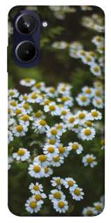 Чехол на Realme 10 4G Ромашки v13 фото 1 из 1