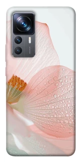 Чехол на Xiaomi 12T / 12T Pro Flowers zon фото 1 из 1