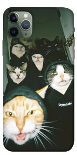 Чехол на Apple iPhone 11 Pro Max (6.5") Сatsss фото 1 из 1