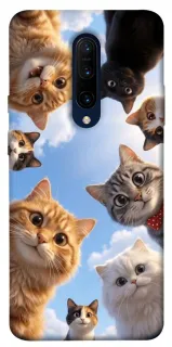 Чехол на OnePlus 7 Pro Cats фото 1 из 1