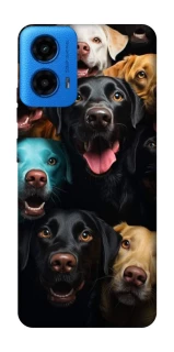Чехол на Motorola Moto G45 Собаки фото 1 из 1