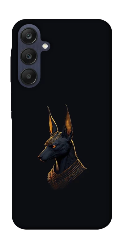Чохол на Samsung Galaxy A25 5G Anubis фото 1 з 1
