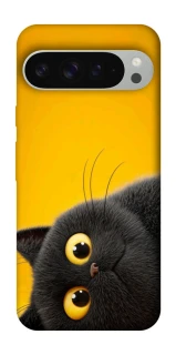 Чохол на Google Pixel 9 Pro XL This is Cat фото 1 з 1