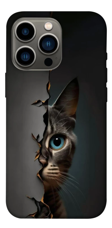 Чехол на Apple iPhone 13 Pro (6.1") Кот-подглядыватель v2 фото 1 из 1