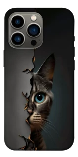 Чехол на Apple iPhone 13 Pro (6.1") Кот-подглядыватель v2 фото 1 из 1